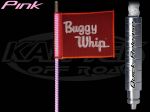 Buggy Whip 4 Foot Tall 8800 Lumens Pink LED Whip Antenna With Quick Release Base