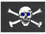 Stiffy Small 12 Inch Tall 18 Inch Wide Replacement Skull With Blue Eyes Flag For Whip Antennas