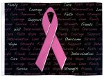 Stiffy Small 12 Inch Tall 18 Inch Wide Replacement Breast Cancer Awareness Flag For Whip Antennas