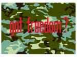 Stiffy Small 12 Inch Tall 18 Inch Wide Replacement Camouflage Got Freedom? Flag For Whip Antennas