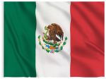 Stiffy Small 12 Inch Tall 18 Inch Wide Replacement Mexico Flag For Whip Antennas