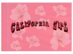 Stiffy Small 12 Inch Tall 18 Inch Wide Replacement Pink California Girl Flag For Whip Antennas