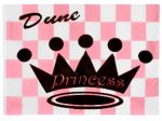 Stiffy Small 12 Inch Tall 18 Inch Wide Replacement Pink Checkered Dune Princess Flag For Antennas