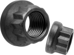 Shop 12 Point Flanged Nuts Now